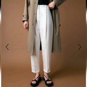 Theory Pleated Carrot Pant In Good Wool